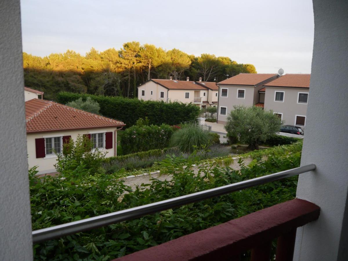 Judit Apartment Tar-Vabriga